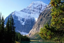 “篮球运动在全球范围内普及,青少年参与度提升”.